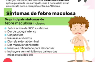 Informativo: febre maculosa em resumo