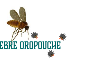 Febre Oropouche
